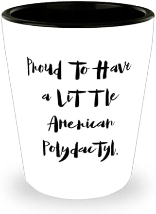 Büszke arra, hogy egy Kis Amerikai Polydactyl. Pohár, Amerikai Polydactyl Macska Kerámia Bögre, Különleges Az Amerikai Polydactyl